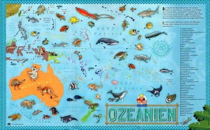 Die Ozeanien-Karte