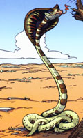 Bild:Schlange Australienkalender.jpg